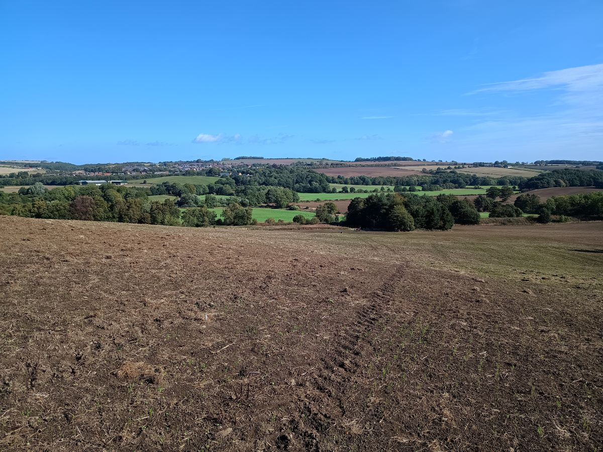 Field